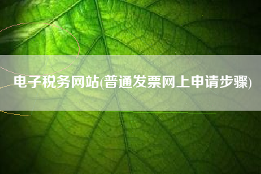 电子税务网站(普通发票网上申请步骤)