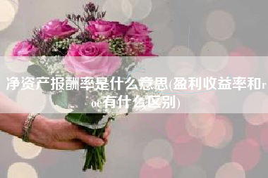 净资产报酬率是什么意思(盈利收益率和roe有什么区别)