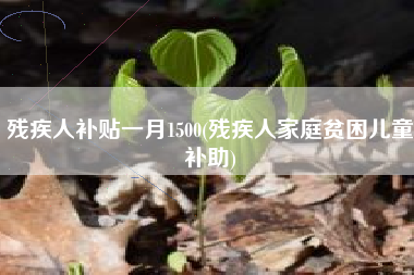 残疾人补贴一月1500(残疾人家庭贫困儿童补助)