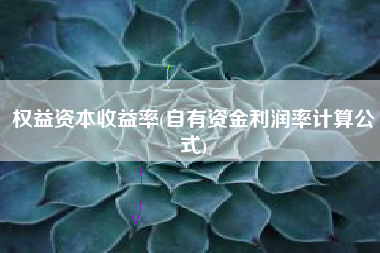 权益资本收益率(自有资金利润率计算公式)