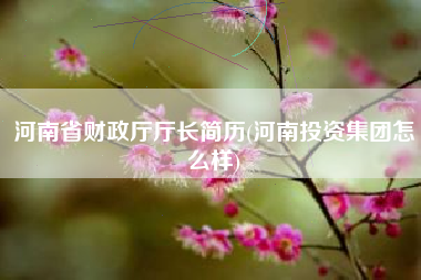 河南省财政厅厅长简历(河南投资集团怎么样)