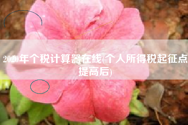 2020年个税计算器在线(个人所得税起征点提高后)