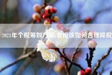 2021年个税筹划方案(老板该如何合理降税)