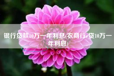 银行贷款10万一年利息(农商行e贷10万一年利息)