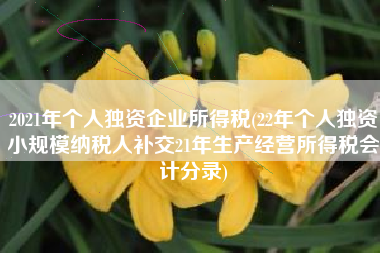 2021年个人独资企业所得税(22年个人独资小规模纳税人补交21年生产经营所得税会计分录)