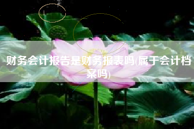 财务会计报告是财务报表吗(属于会计档案吗)