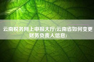 云南税务网上申报大厅(云南省如何变更财务负责人信息)
