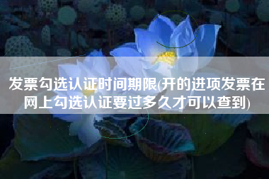 发票勾选认证时间期限(开的进项发票在网上勾选认证要过多久才可以查到)