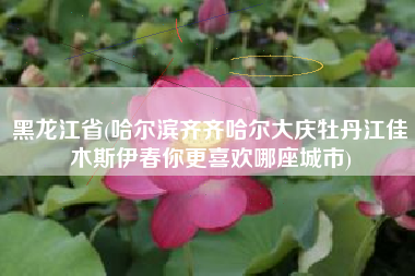 黑龙江省(哈尔滨齐齐哈尔大庆牡丹江佳木斯伊春你更喜欢哪座城市)