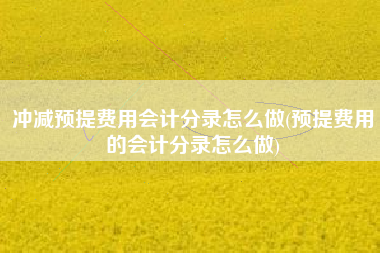 冲减预提费用会计分录怎么做(预提费用的会计分录怎么做)