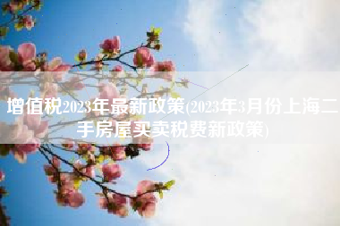 增值税2023年最新政策(2023年3月份上海二手房屋买卖税费新政策)