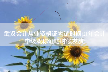 武汉会计从业资格证考试时间(21年会计中级职称证啥时候发放)