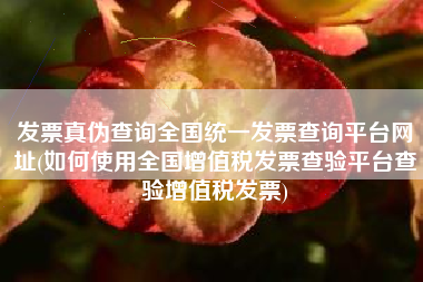 发票真伪查询全国统一发票查询平台网址(如何使用全国增值税发票查验平台查验增值税发票)