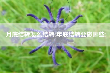 月底结转怎么结转(年底结转要做哪些)