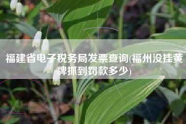 福建省电子税务局发票查询(福州没挂黄牌抓到罚款多少)