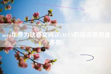acca年费为啥要交两次(ACCA的培训费用是多啊)