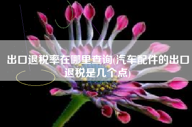 出口退税率在哪里查询(汽车配件的出口退税是几个点)