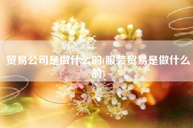 贸易公司是做什么的(服装贸易是做什么的)