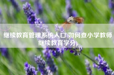 继续教育管理系统入口(如何查小学教师继续教育学分)
