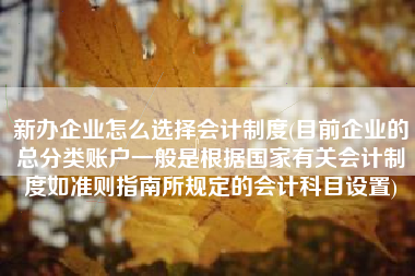 新办企业怎么选择会计制度(目前企业的总分类账户一般是根据国家有关会计制度如准则指南所规定的会计科目设置)