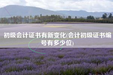 初级会计证书有新变化(会计初级证书编号有多少位)