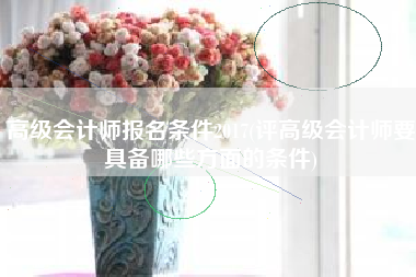 高级会计师报名条件2017(评高级会计师要具备哪些方面的条件)