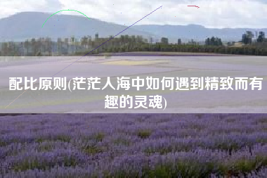 详细阅读:配比原则(茫茫人海中如何遇到精致而有趣的灵魂) 配比原则(茫茫人海中如何遇到精致而有趣的灵魂)