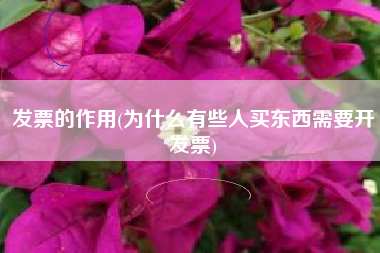 详细阅读:发票的作用(为什么有些人买东西需要开发票) 发票的作用(为什么有些人买东西需要开发票)