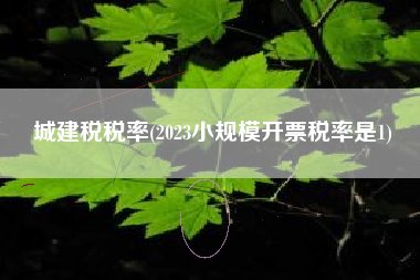 详细阅读:城建税税率(2023小规模开票税率是1) 城建税税率(2023小规模开票税率是1)