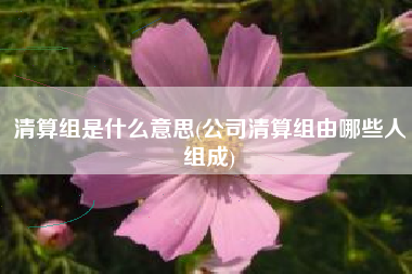 清算组是什么意思(公司清算组由哪些人组成)
