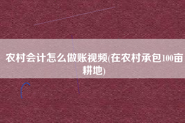 农村会计怎么做账视频(在农村承包100亩耕地)