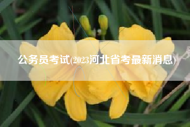 公务员考试(2023河北省考最新消息)