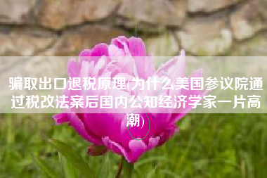 骗取出口退税原理(为什么美国参议院通过税改法案后国内公知经济学家一片高潮)