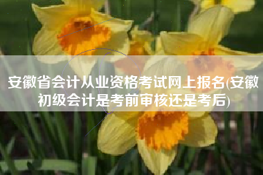 安徽省会计从业资格考试网上报名(安徽初级会计是考前审核还是考后)