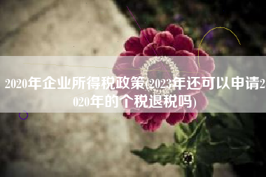 2020年企业所得税政策(2023年还可以申请2020年的个税退税吗)