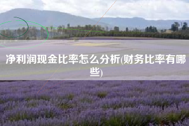 净利润现金比率怎么分析(财务比率有哪些)