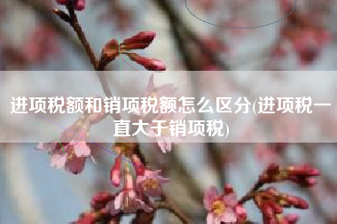 进项税额和销项税额怎么区分(进项税一直大于销项税)