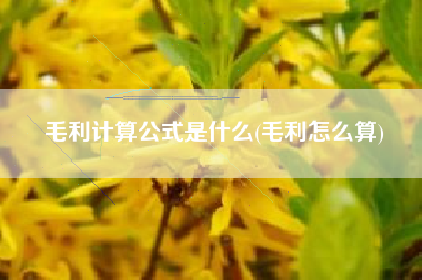 毛利计算公式是什么(毛利怎么算)