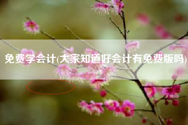 免费学会计(大家知道好会计有免费版吗)