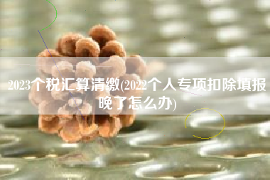 2023个税汇算清缴(2022个人专项扣除填报晚了怎么办)