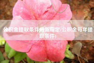 公积金提取条件最新规定(公积金每年提取条件)