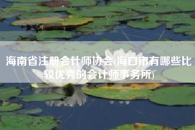 海南省注册会计师协会(海口市有哪些比较优秀的会计师事务所)