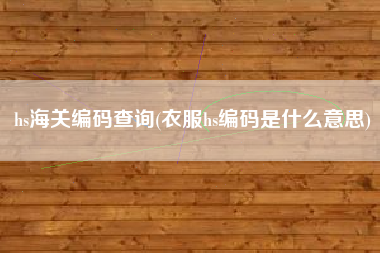 hs海关编码查询(衣服hs编码是什么意思)