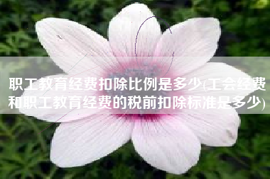 职工教育经费扣除比例是多少(工会经费和职工教育经费的税前扣除标准是多少)