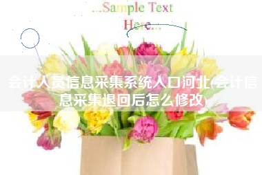 会计人员信息采集系统入口河北(会计信息采集退回后怎么修改)
