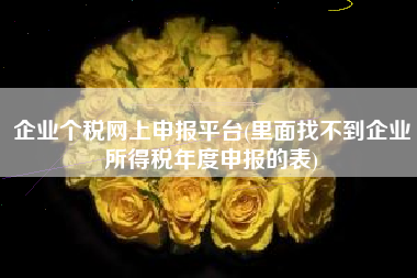 详细阅读:企业个税网上申报平台(里面找不到企业所得税年度申报的表) 企业个税网上申报平台(里面找不到企业所得税年度申报的表)