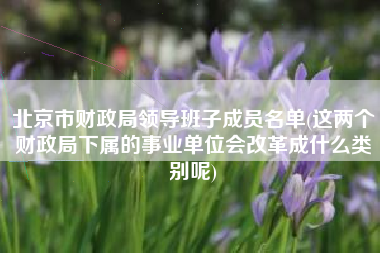 详细阅读:北京市财政局领导班子成员名单(这两个财政局下属的事业单位会改革成什么类别呢) 北京市财政局领导班子成员名单(这两个财政局下属的事业单位会改革成什么类别呢)