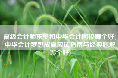 高级会计师东奥和中华会计网校哪个好(中华会计梦想成真应试指南与经典题解哪个好)