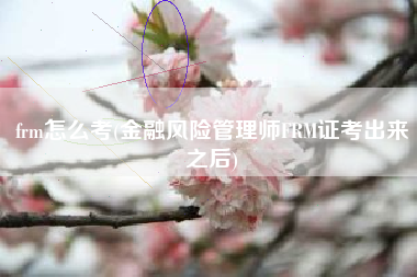 frm怎么考(金融风险管理师FRM证考出来之后)