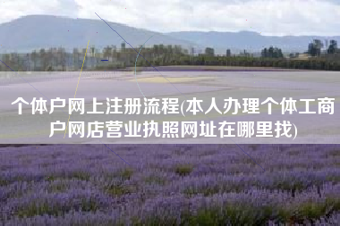 个体户网上注册流程(本人办理个体工商户网店营业执照网址在哪里找)